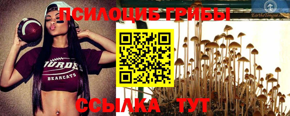 Псилоцибиновые грибы GOLDEN TEACHER  Галлюциногенные грибы MAGIC MUSHROOMS  Вход с VPN  Пыть-Ях 